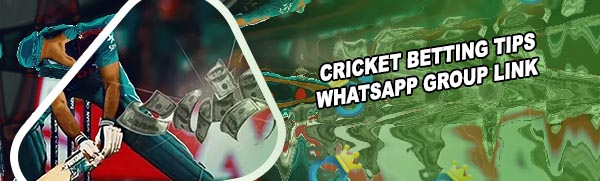 Best cricket betting tipper in india