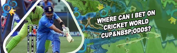 Best cricket world cup betting site