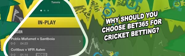 Bet365 cricket betting online