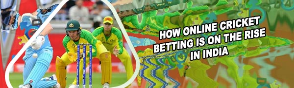 Betting on the cricket