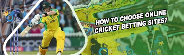 Cricket beting