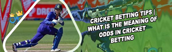 Cricket betting australia sites in India