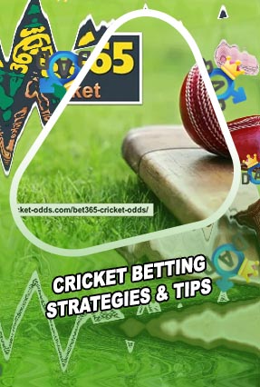 Cricket betting tips website