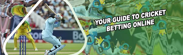 How to do cricket betting
