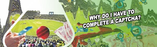 How to win ipl betting